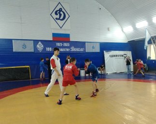 Юные самбисты вновь выявили сильнейших 2